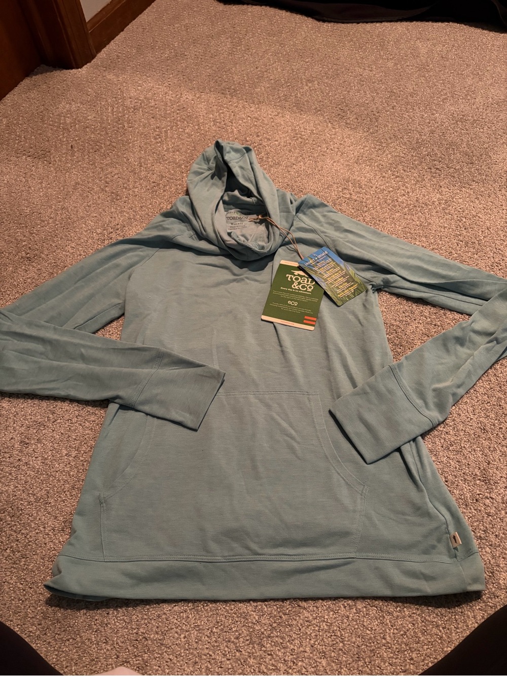 Toad&Co Sage Green Hooded Pullover